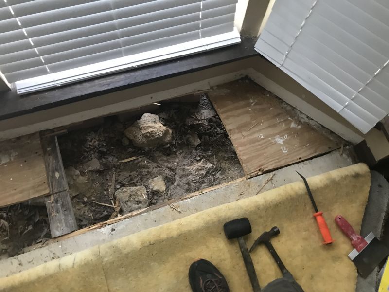 Subfloor Joist Repair