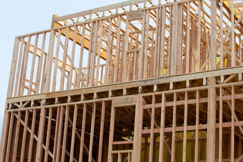 Building Addition Framing in Conroe, TX