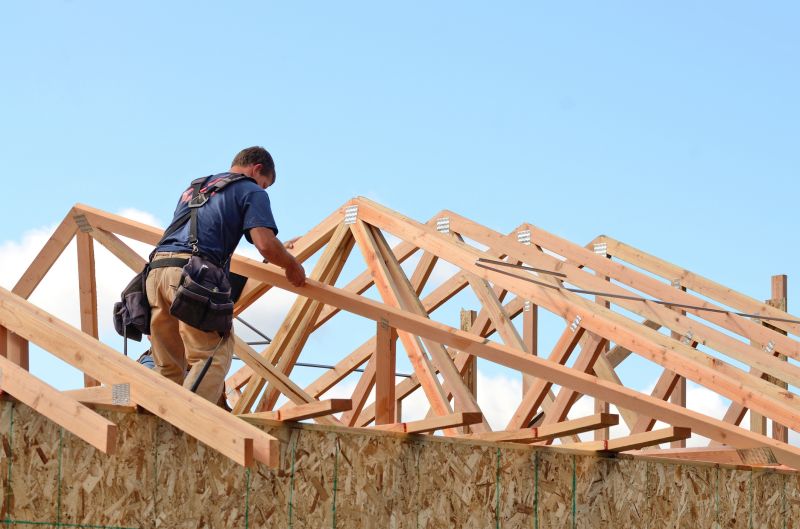 Roof Sheathing Service in Kansas City, KS