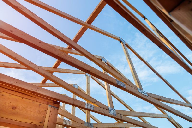 Roof Trusses Installation in Conroe, TX